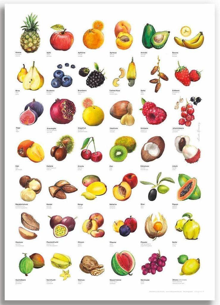 Wie heißen alle Früchte?