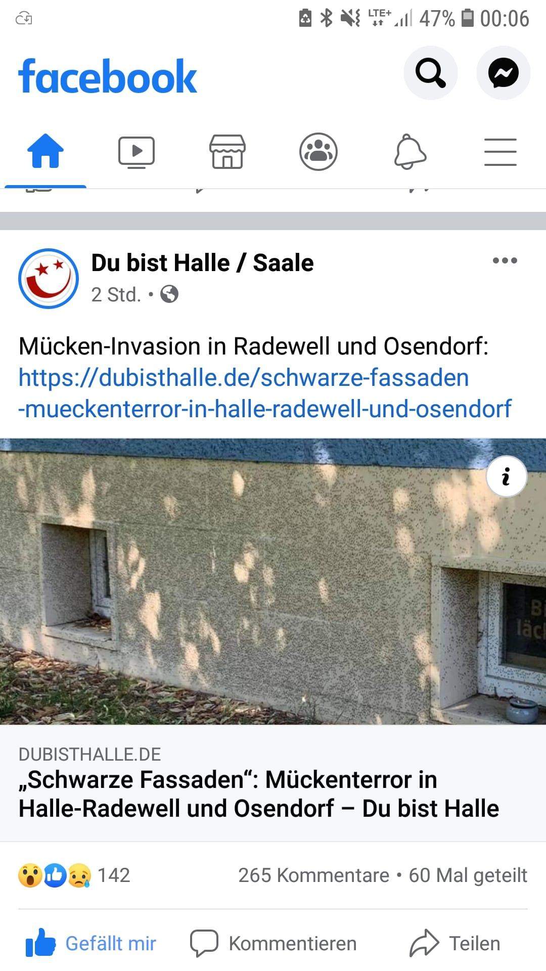 Hallo was hilft gegen Mücken im Garten?