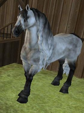Hallo Welches Pferd Wurdet Ihr Ehr In Star Stable Kaufen Den Grauen Araber Oder Den Grau Silbernen Andalusier Pferde Star Stable