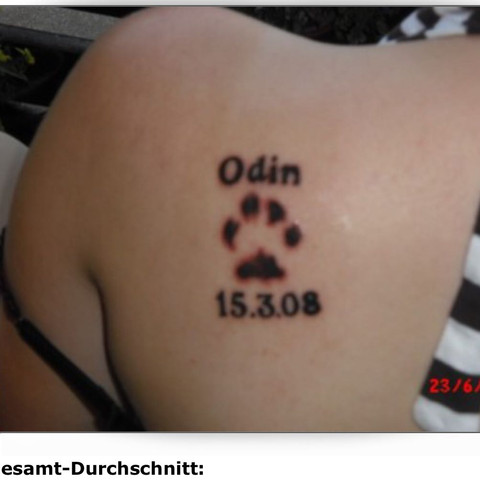 Bsp. 2 - (Hund, Kosten, Tattoo)
