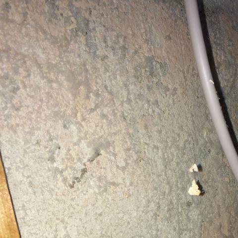 Hallo zusammen Hallo zusammen