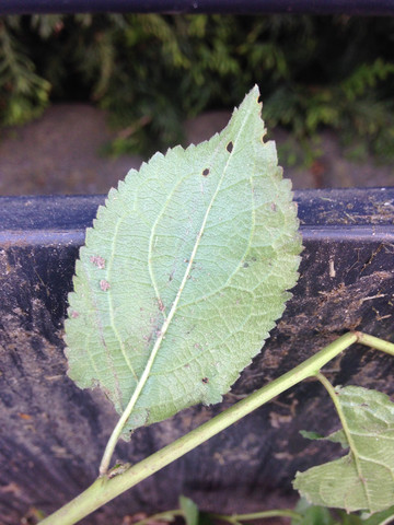 Immer wieder beziehung in frage stellen Immer wieder beziehung in frage stellen