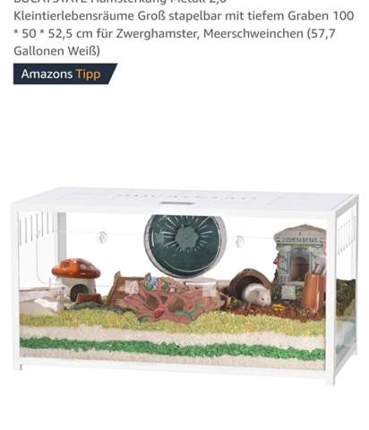 Bild zum Beitrag