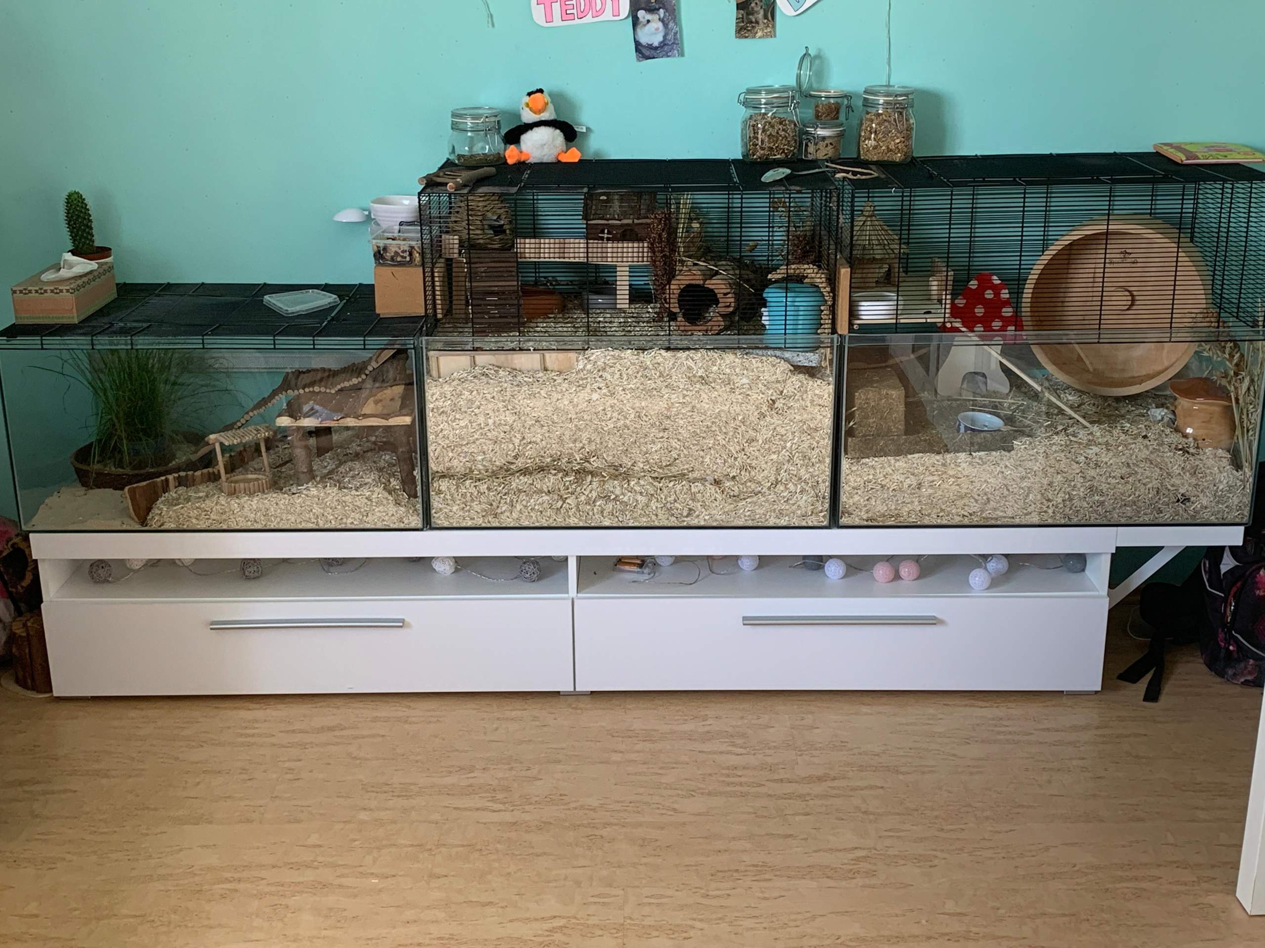 Hamster Gehege Grosse