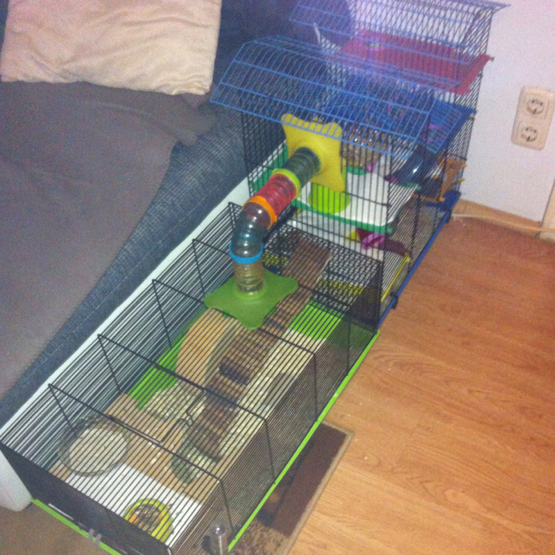 Hamster Käfig groß genug? (hamsterkäfig)