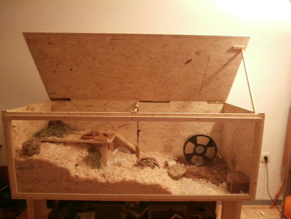 Hamster Terrarium bauen / 3 Holzwände gesund für Hamster