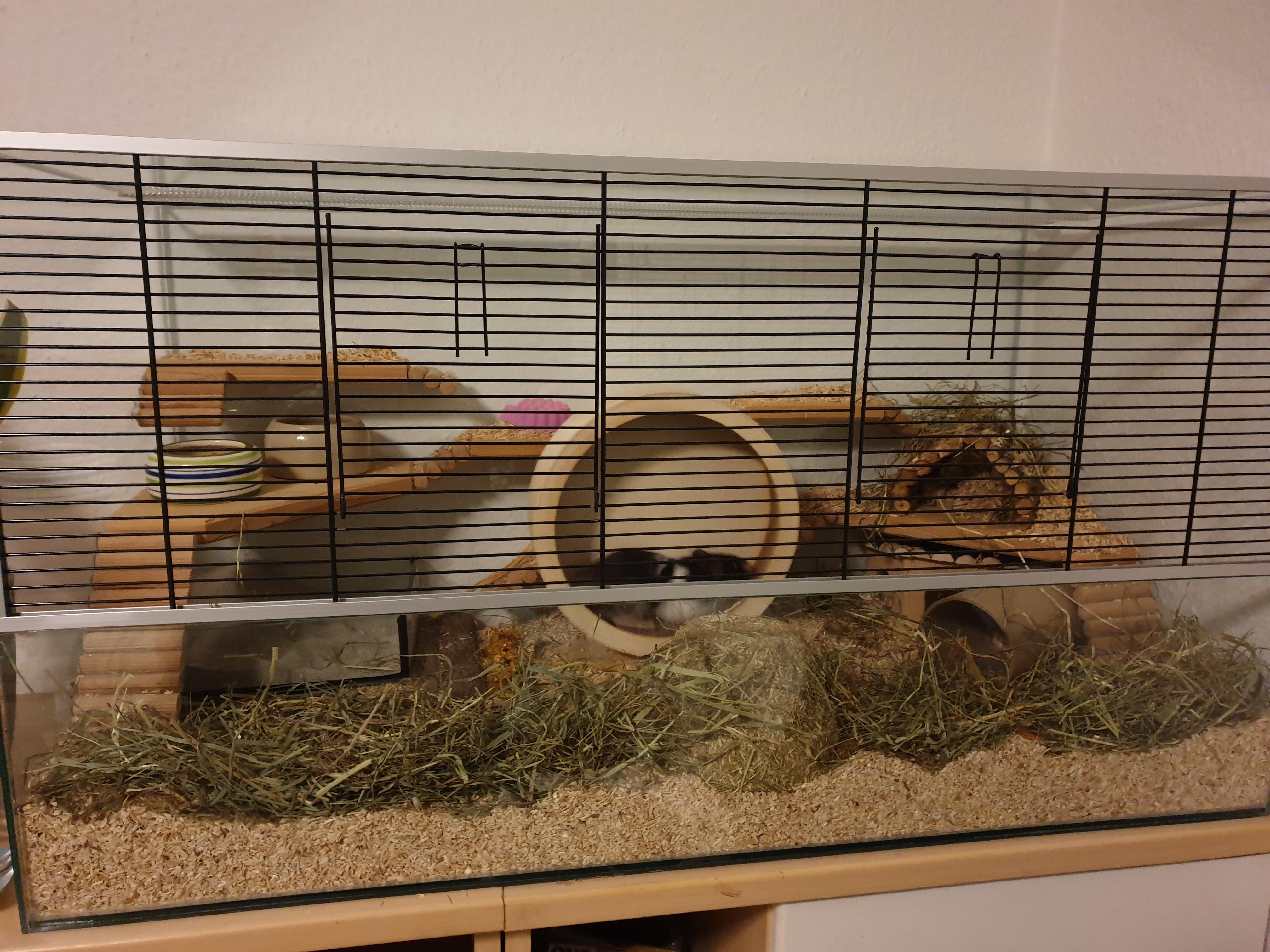 Hamsterkäfig/Nagarium artgerecht? (Tiere, Hamster)