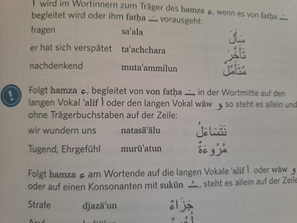 Bild zum Beitrag