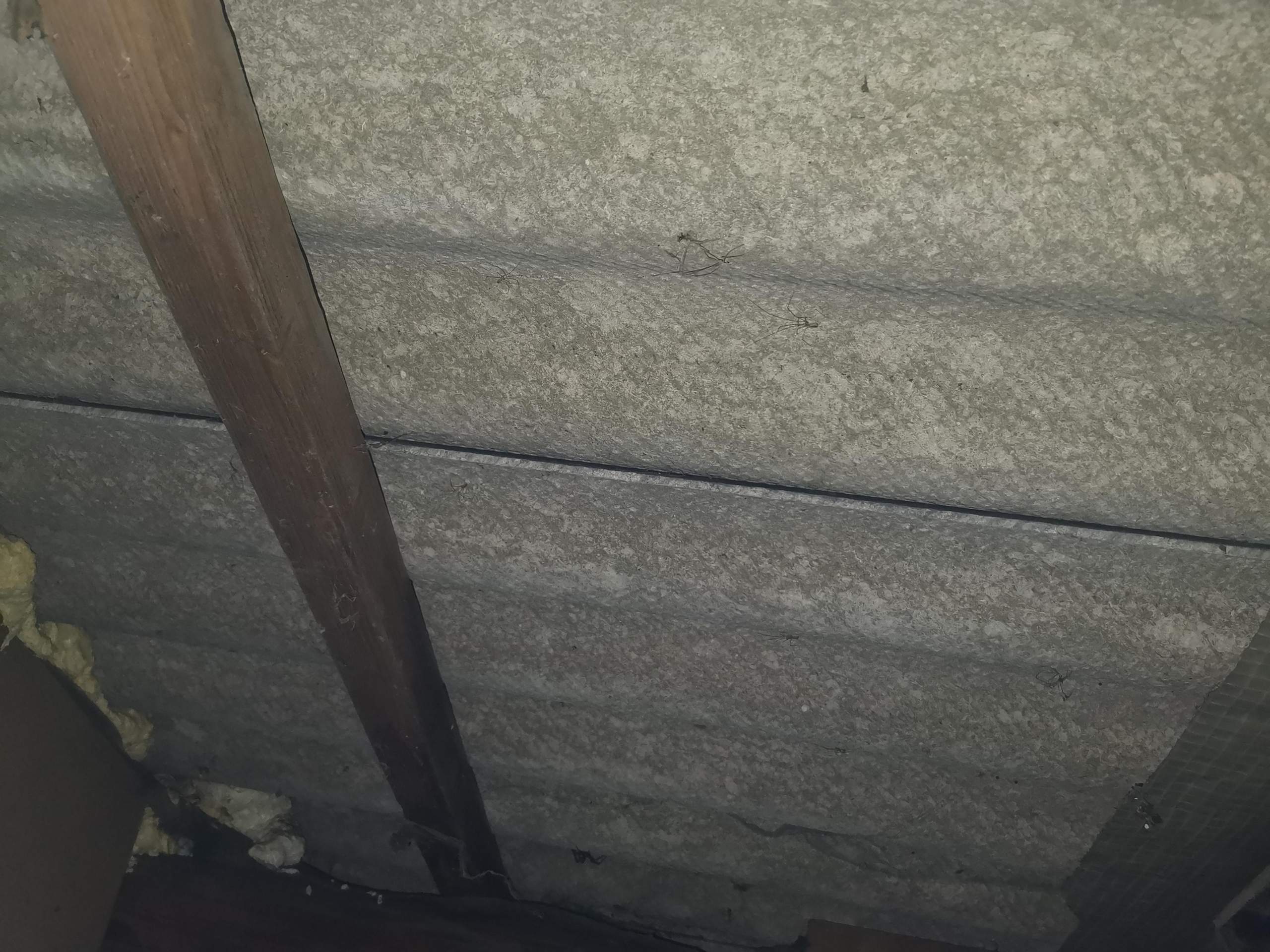 Handelt es sich hier um Asbest Platten?