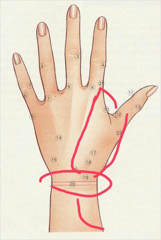 Handschmerzen Handrucken Gelenk Gesundheit Schmerzen Handschmerzen Handrucken Gelenk Gesundheit Schmerzen