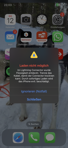 Bild zum Beitrag
