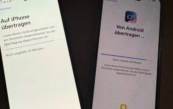 Bild zum Beitrag