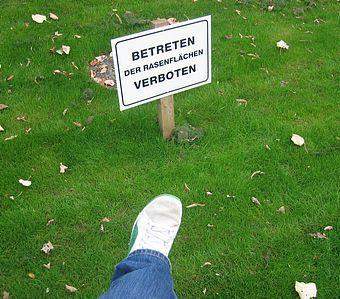 Bild zum Beitrag