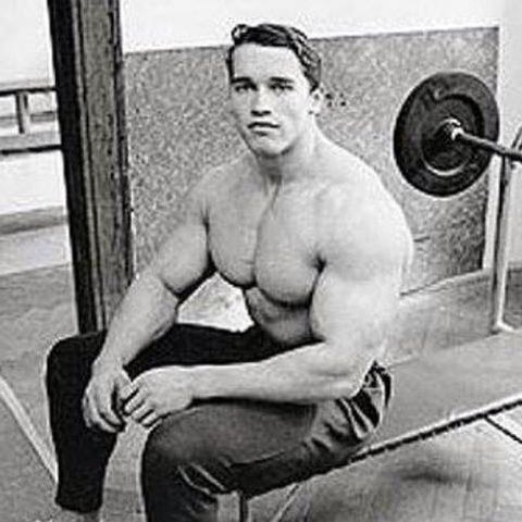 Hier bild - (Training, Muskeln, Arnold)