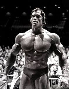 Arnold in seiner Bestform (Steroids?) - (Liebe, Sport, Training)