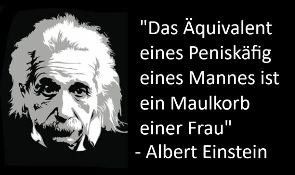 Bild zum Beitrag