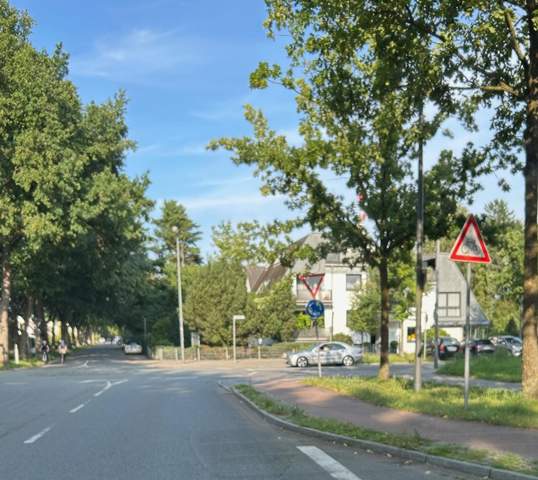Bild zum Beitrag