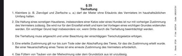 Bild zum Beitrag