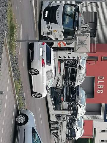 Bild zum Beitrag