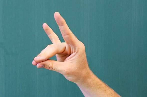 Hat ein Türke euch schonmal dieses Handzeichen gezeigt?