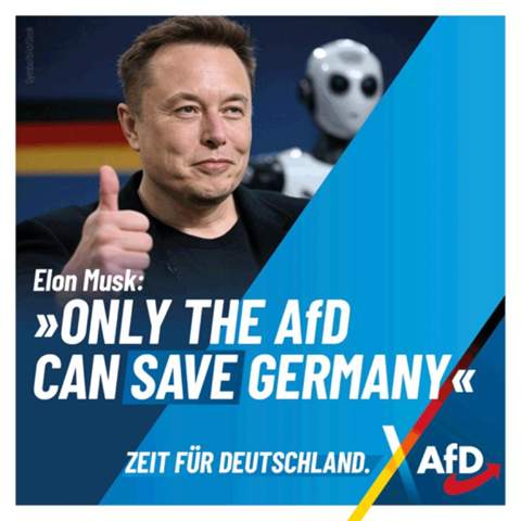 Bild zum Beitrag