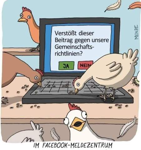 Bild zum Beitrag