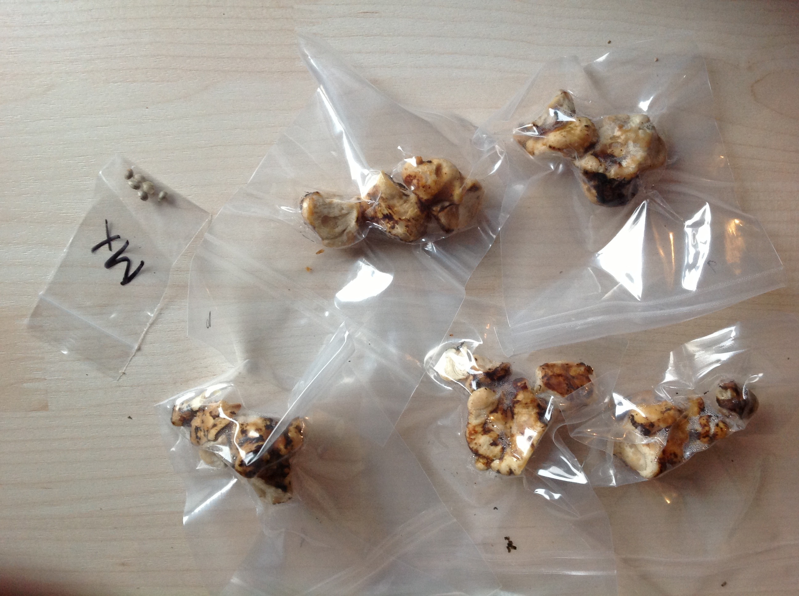 Frohes neujahr feiertage hintergrundbild Hat jemand eine Ahnung was das ist? (Bild) (Drogen, Pilze)