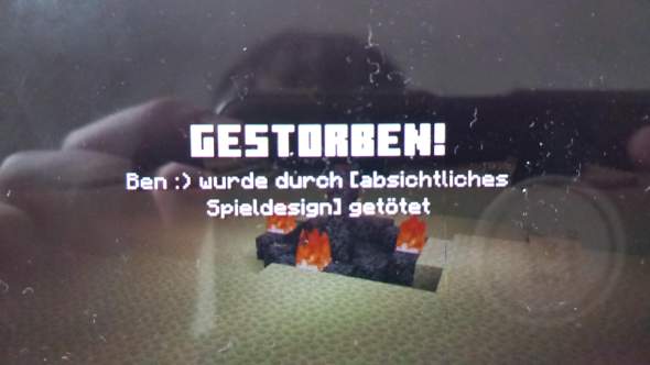 Bild zum Beitrag