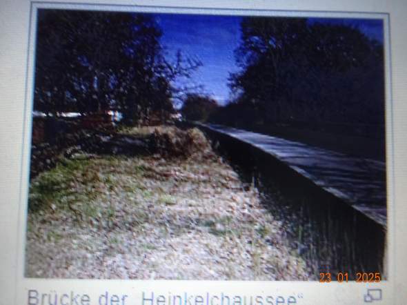 Bild zum Beitrag