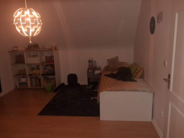 Bild zum Beitrag