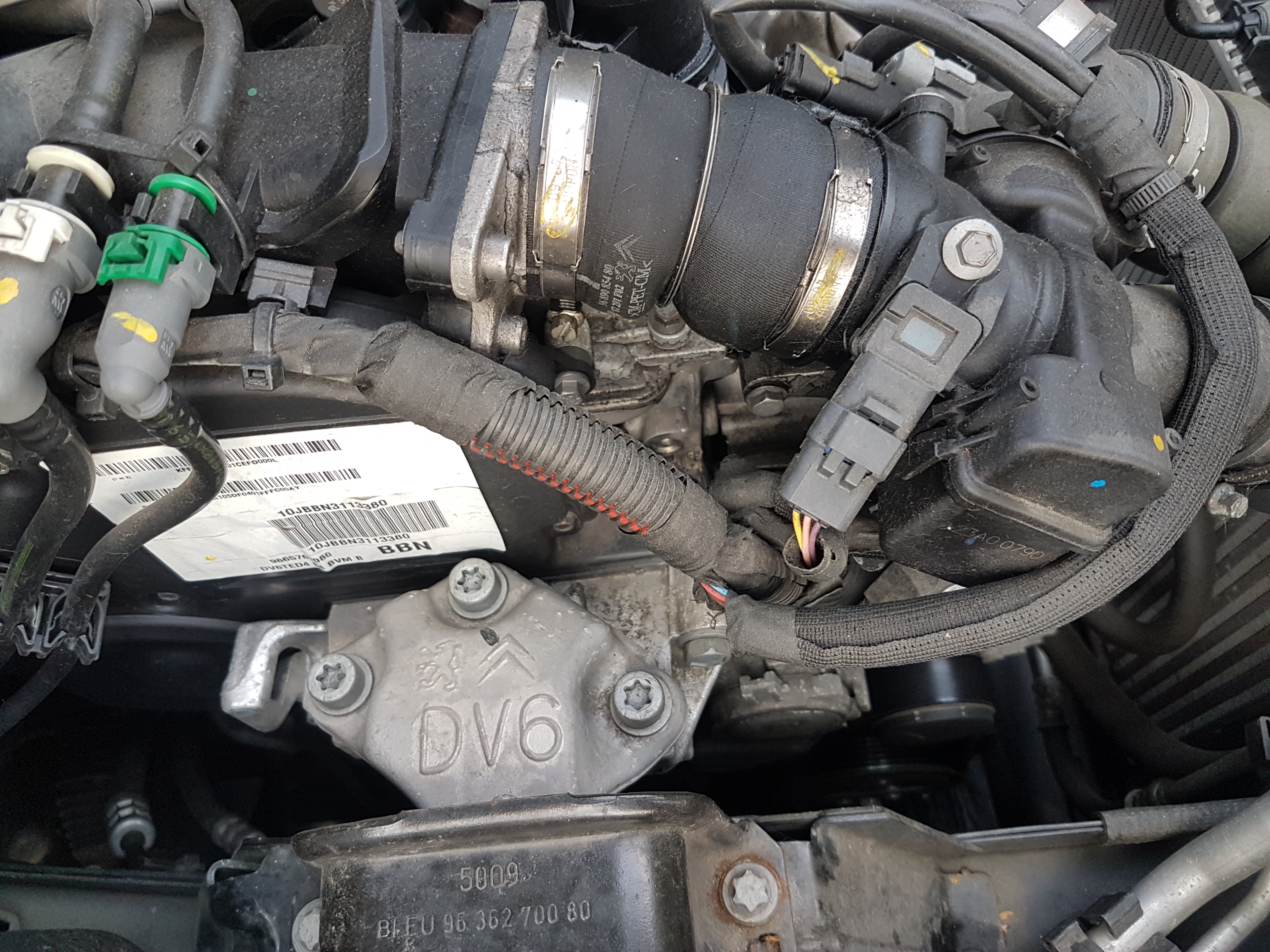 Hat Mein Auto Zahnriemen Oder Steuerkette Auto Und Motorrad