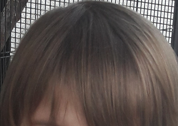 dunkelblonde haare haarfarbe