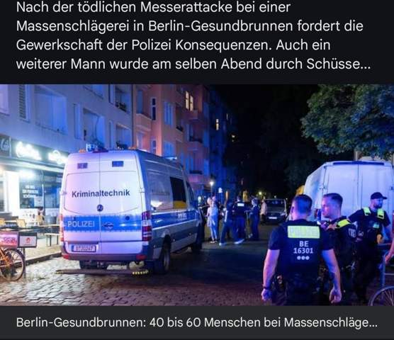 Bild zum Beitrag
