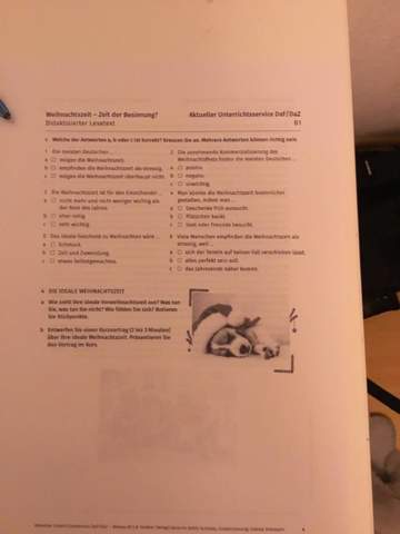 Bild zum Beitrag