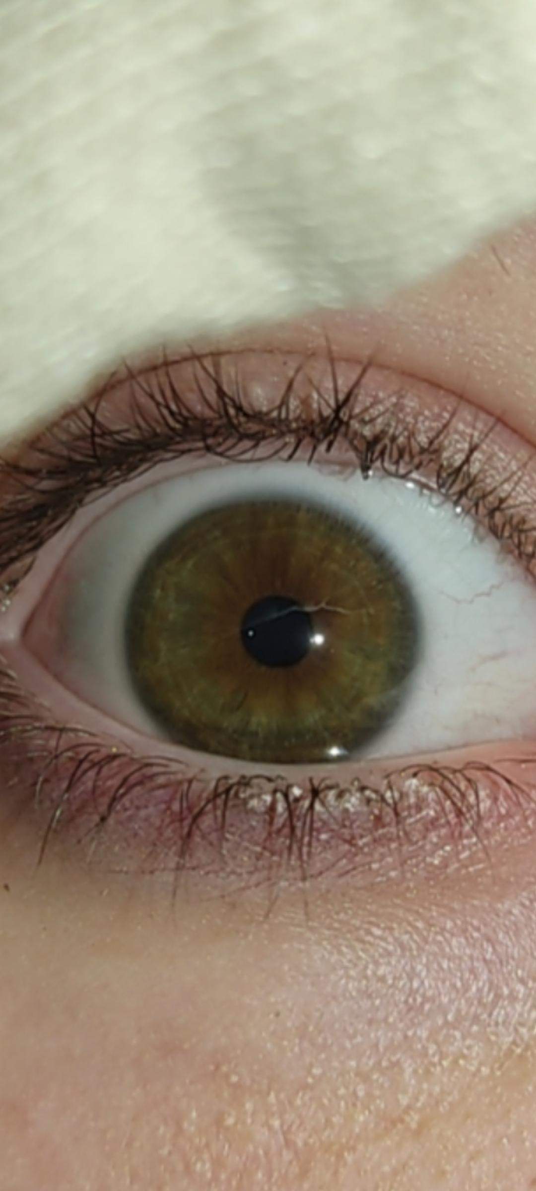 Hazel Eyes? (Augen, Augenfarbe)