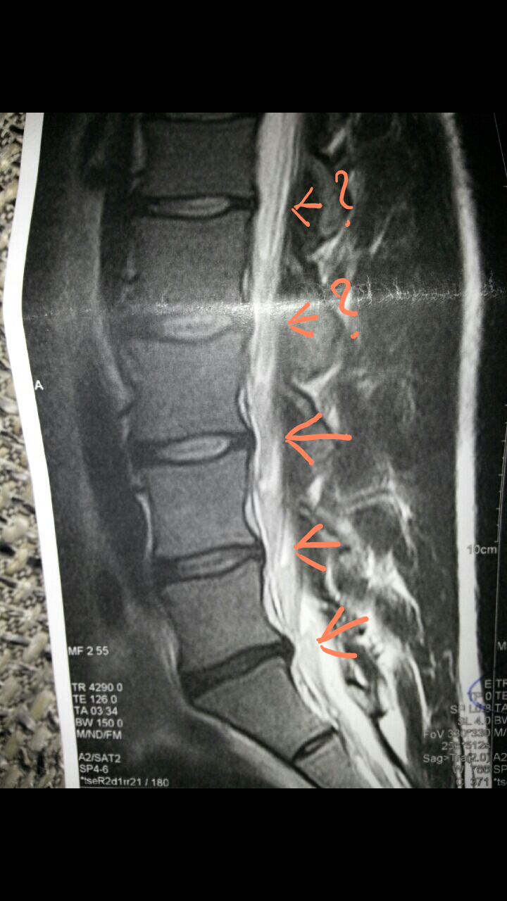 In einer beziehung mit In einer beziehung mit