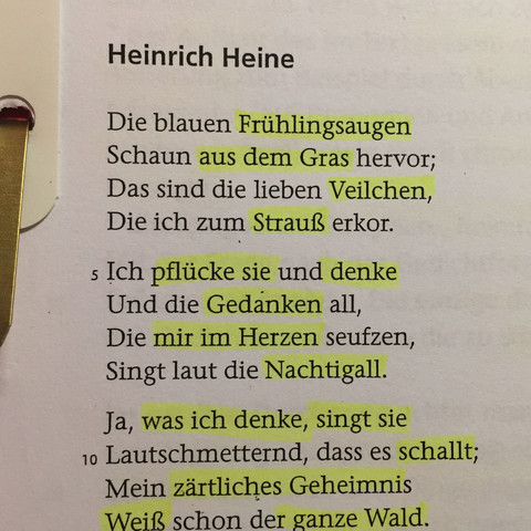 Heinrich Heine Kernmotiv Nachtigall Gedicht Analyse Lyrik