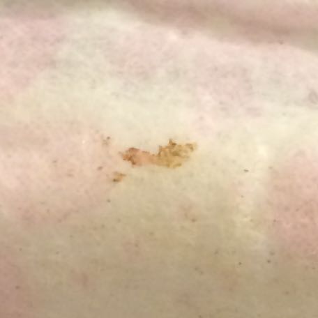 Heisst Das Ich Hab Meine Erste Periode Heisst Das Ich Hab Meine Erste Periode