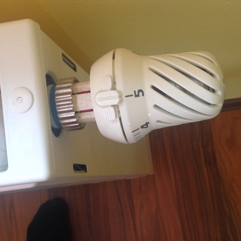 Heizung Im Bad Heizt Nicht Digital Warm Heizkorper