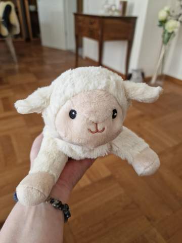 Bild zum Beitrag