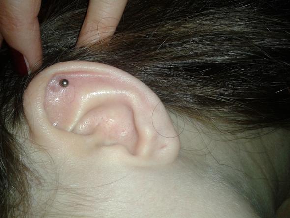 1. Das ist mein Ohr jetzt - (Beauty, Piercing, Helix)
