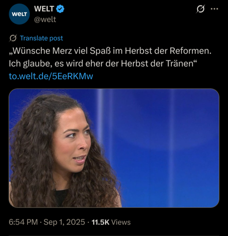 Bild zum Beitrag