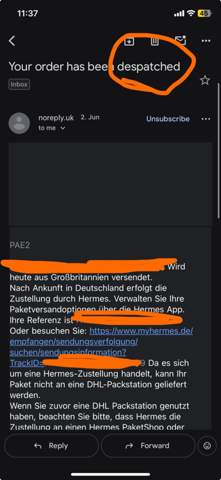 Bild zum Beitrag