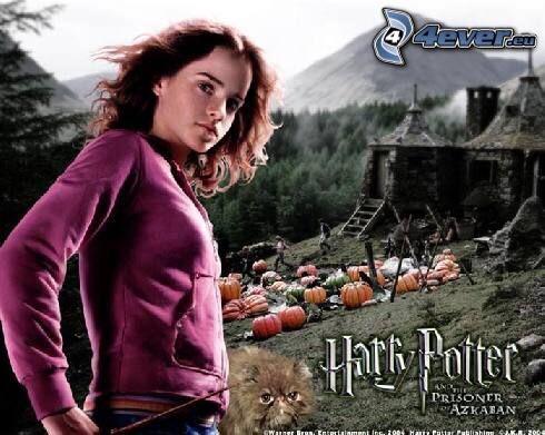 Hermines Jacke - (Jacke, Harry Potter, Hermine Granger)