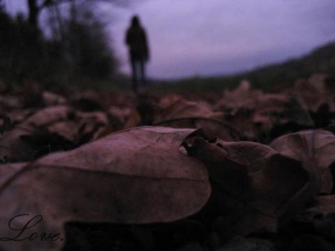 Ich wollte fragen wie Ich wollte fragen wie