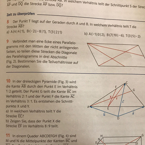 Hilfe bei der nr 10 - (Schule, Mathe, Vektoren)