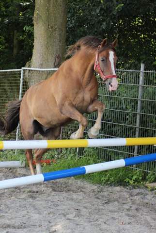 Bild zum Beitrag