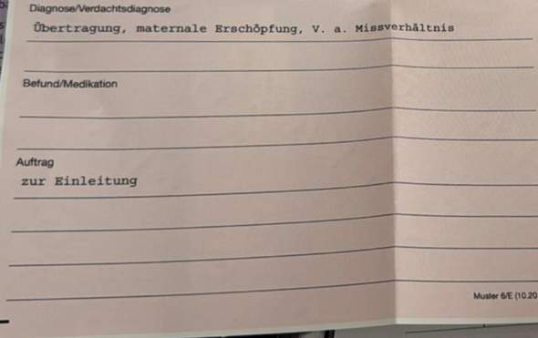 Bild zum Beitrag