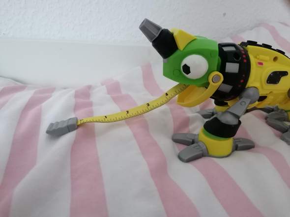 Bild zum Beitrag