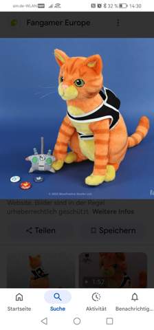 Bild zum Beitrag